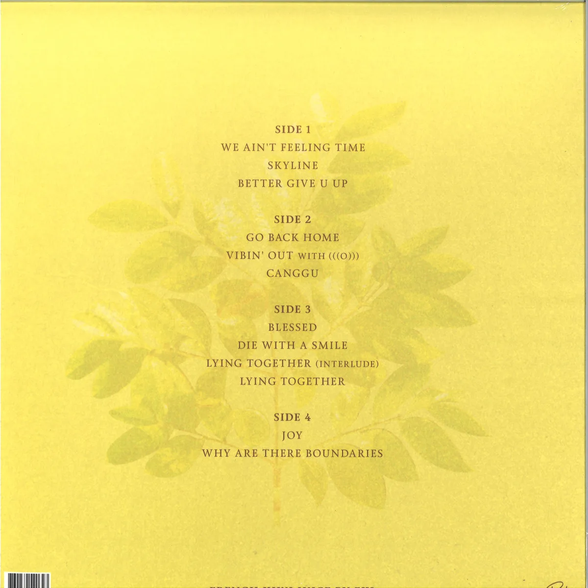 Back cover — Fkj — French Kiwi Juice LP 2x12"