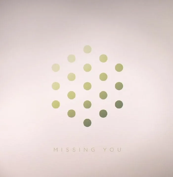 Лицевая сторона обложки — LSB — Missing You
