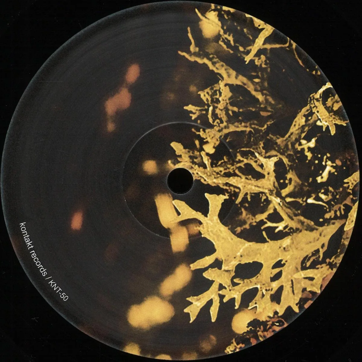 Van Bonn, Luigi Tozzi — Detached Trails