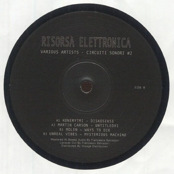 Back cover — KONERYTMI / MARTIN CARSON / MOLEN / UNREAL VIBES — Circuiti Sonori #2