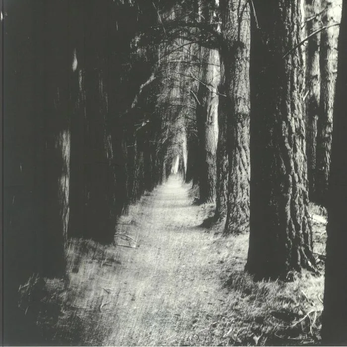 STRAY THEORIES — Falter