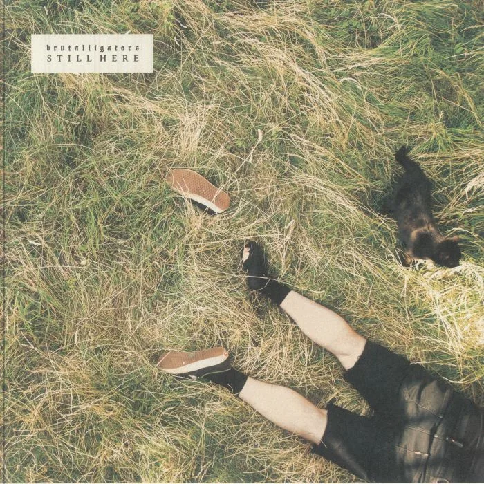 BRUTALLIGATORS — Still Here