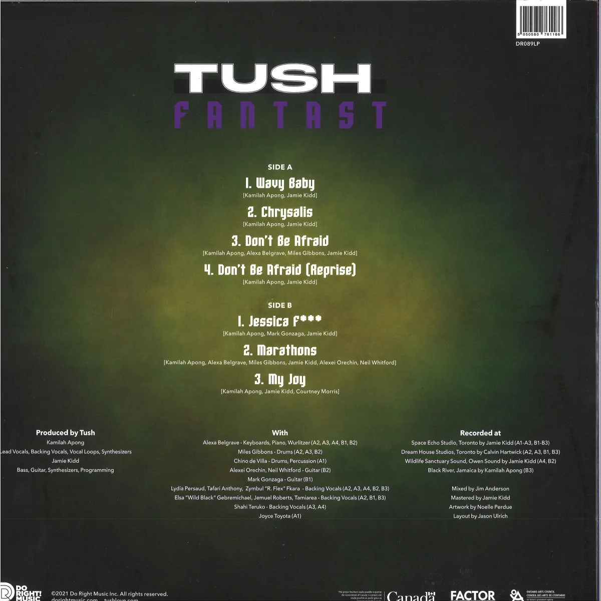 Обратная сторона обложки — Tush — Fantast