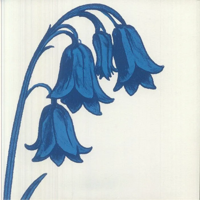 The BLUEBELLS — This Is The Bluebells