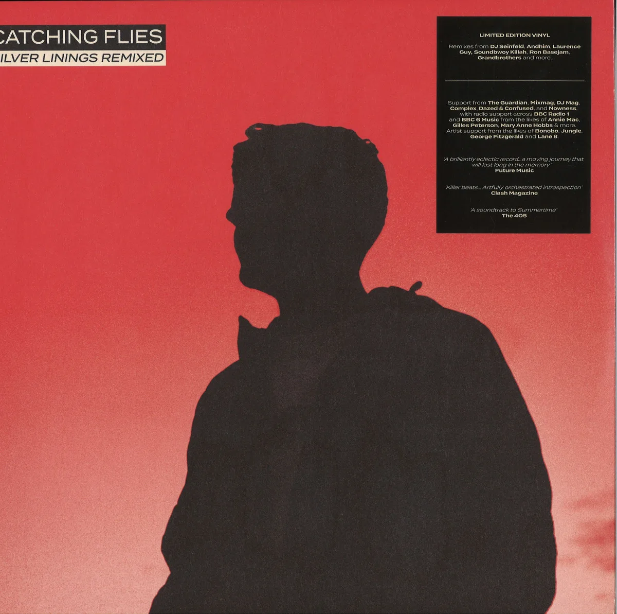Catching Flies — Silver Linings Remixed