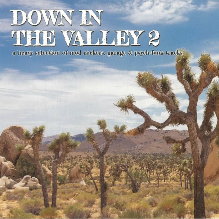 VARIOUS — Down In The Valley 2: A Heavy Selection Of Mod rockers, Garage & Psych-Funk Tracks