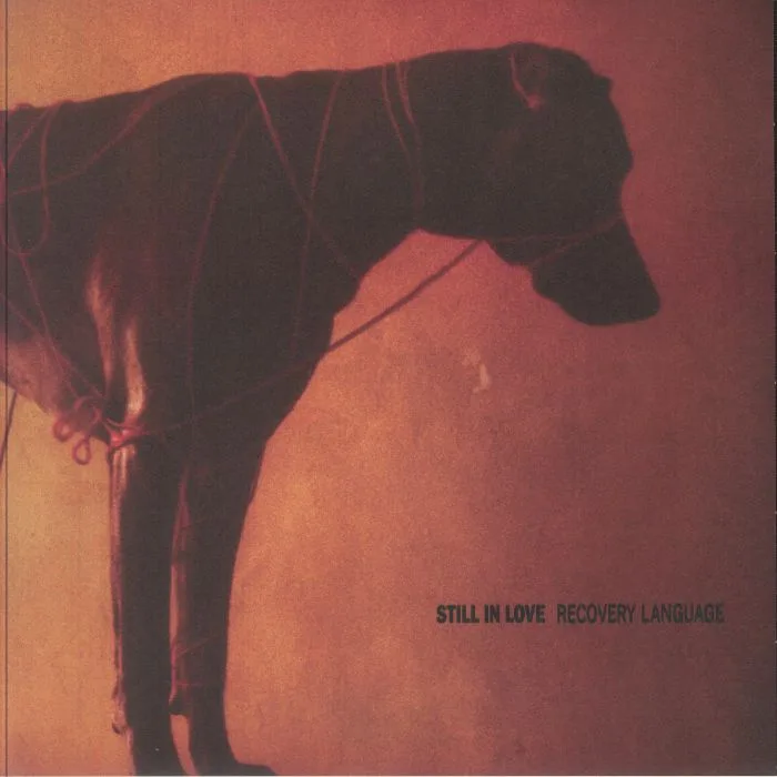 STILL IN LOVE — Recovery Language