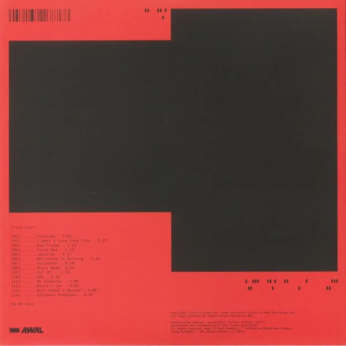 Back cover — EVERYTHING EVERYTHING — Raw Data Feel