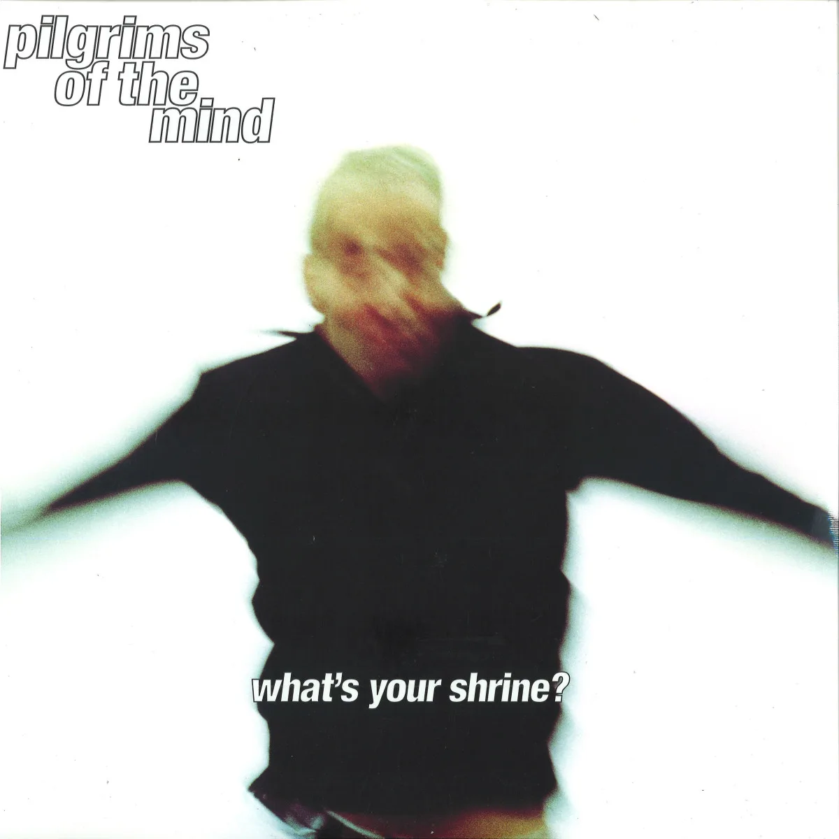 Pilgrims Of The Mind — What's Your Shrine? LP 2x12"