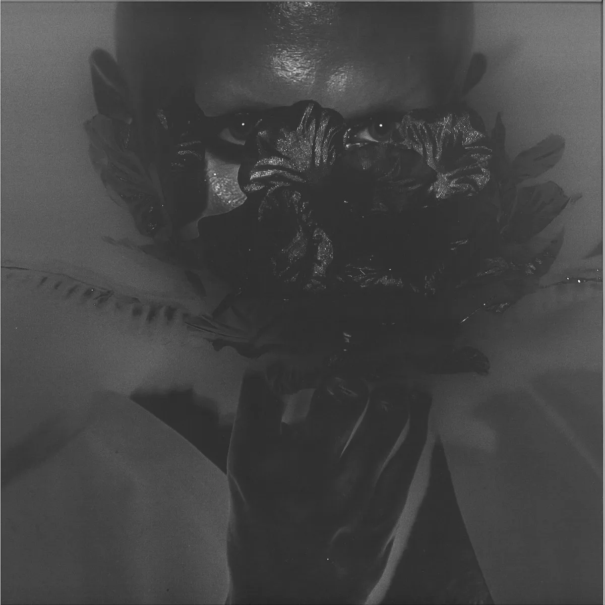 White Mane Horse/Deputy Bender/Uhu/Theory Of Noise/Olloy/Rnbws — Apophenia