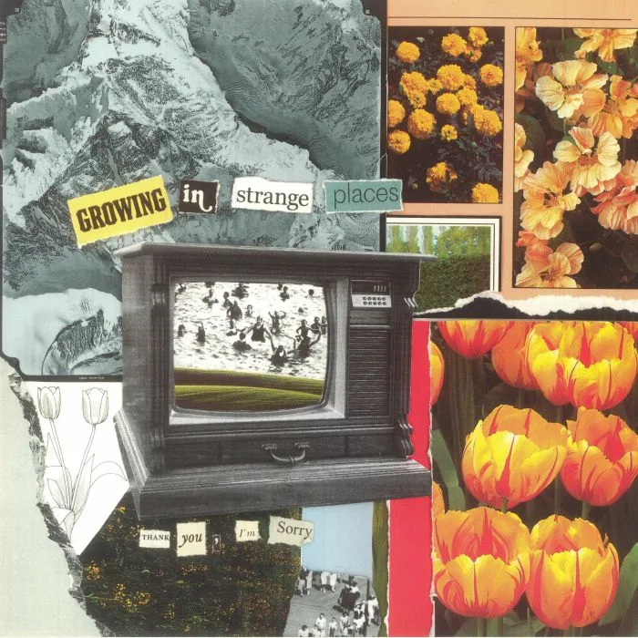 THANK YOU I'M SORRY — Growing In Strange Places