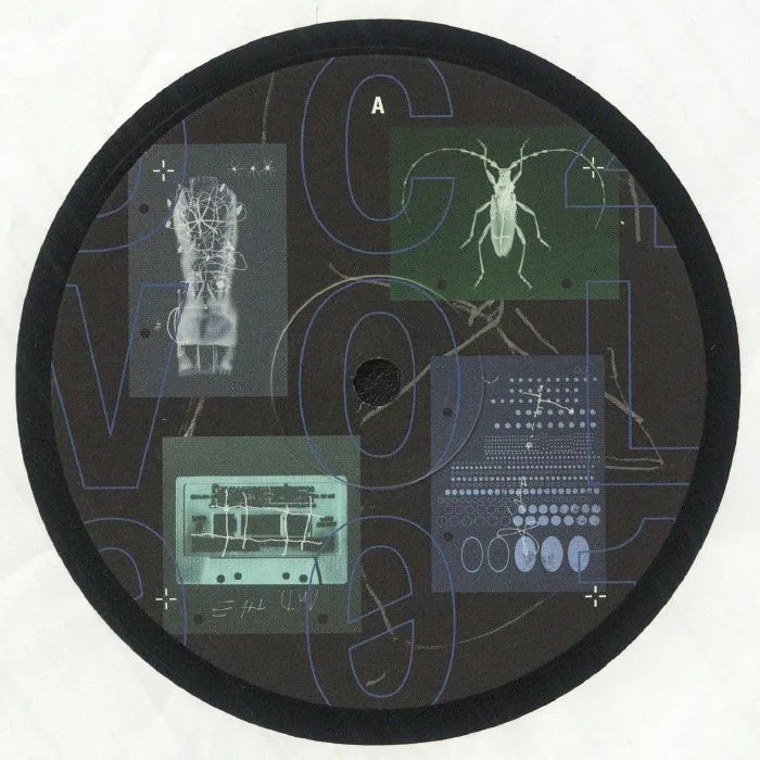 KAUFMANN / TIMMO / MARK REEVE / GOOM GUM / RDNK — DC4 Vol 1