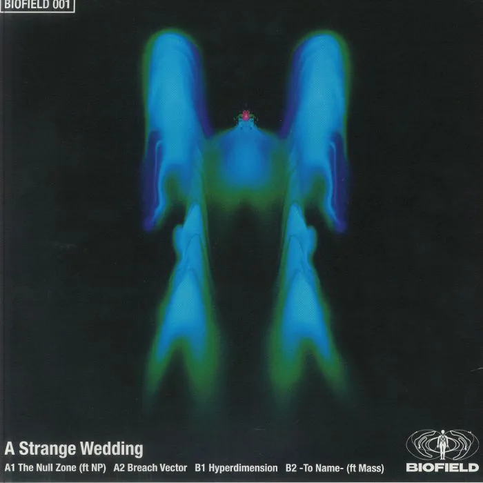Обратная сторона обложки — A STRANGE WEDDING — The Null Zone
