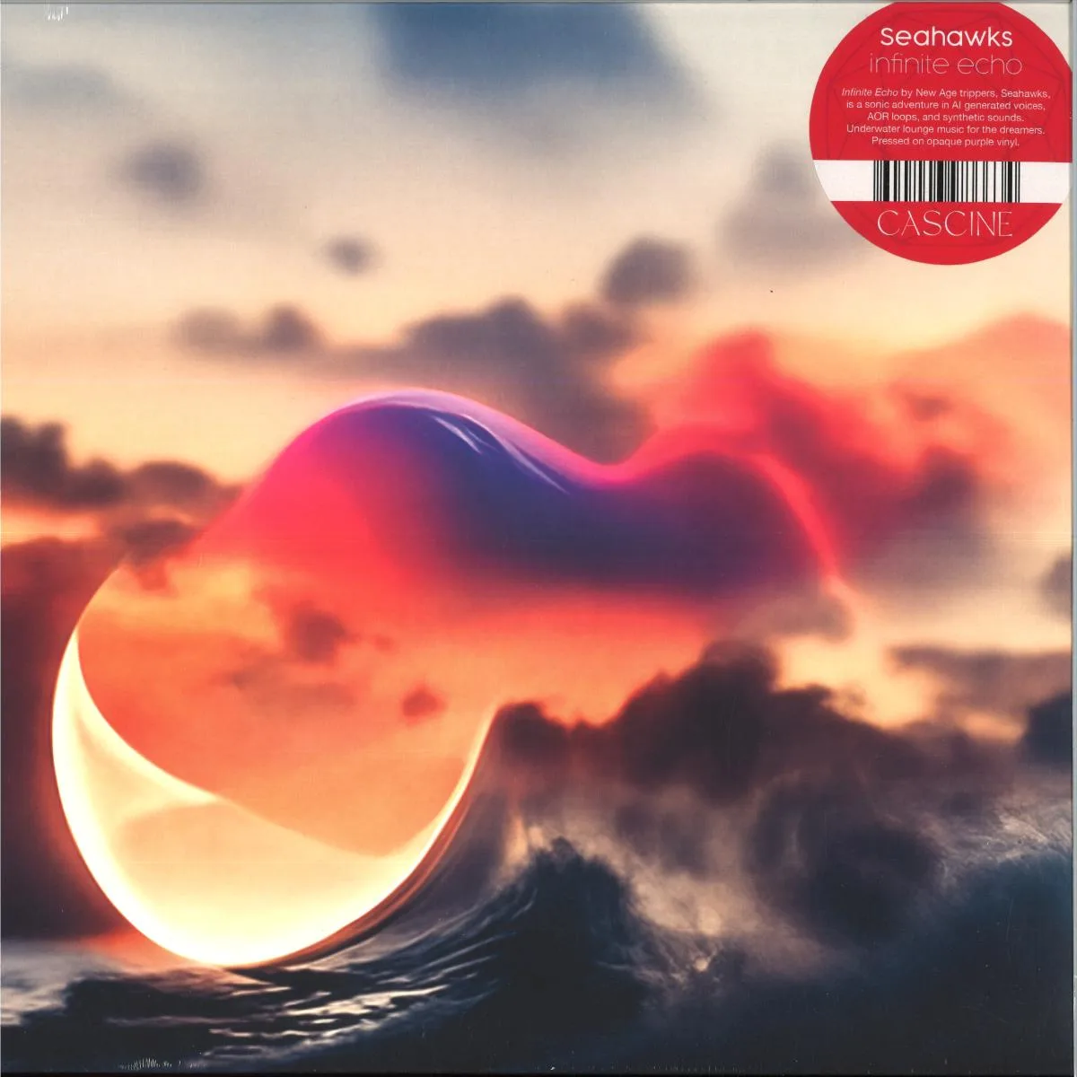 Лицевая сторона обложки — Seahawks — INFINITE ECHO LP