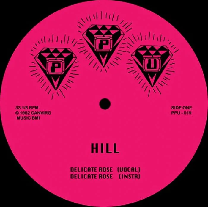 Front cover — HILL / ROSHELL ANDERSON — Delicate Rose