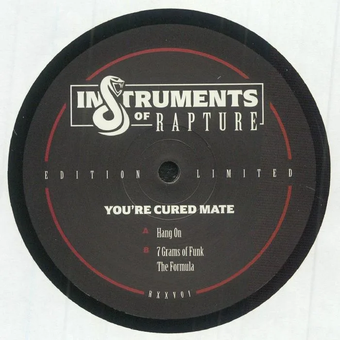 Лицевая сторона обложки — INSTRUMENTS OF RAPTURE — You're Cured Mate