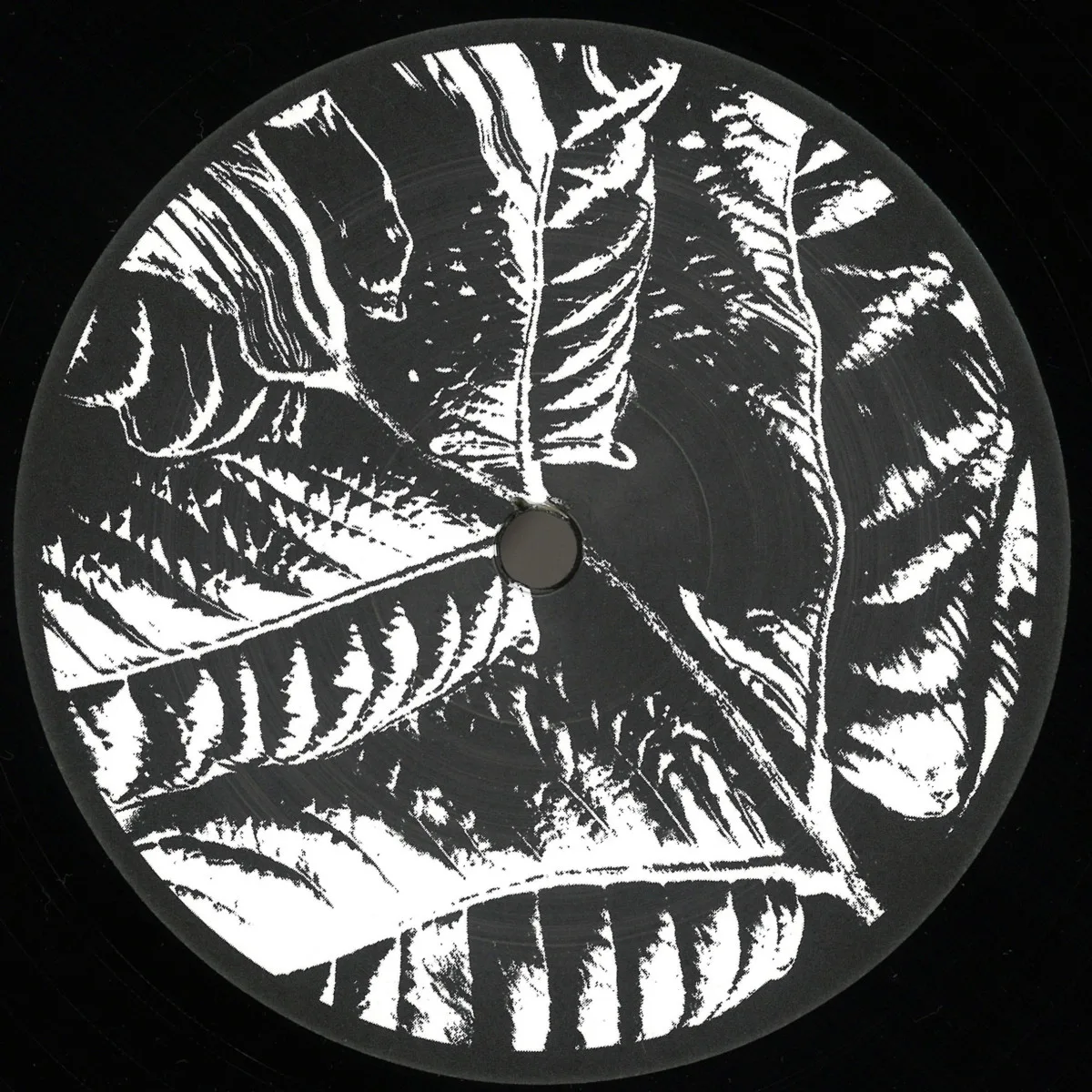 Various — Ancient Echoes EP