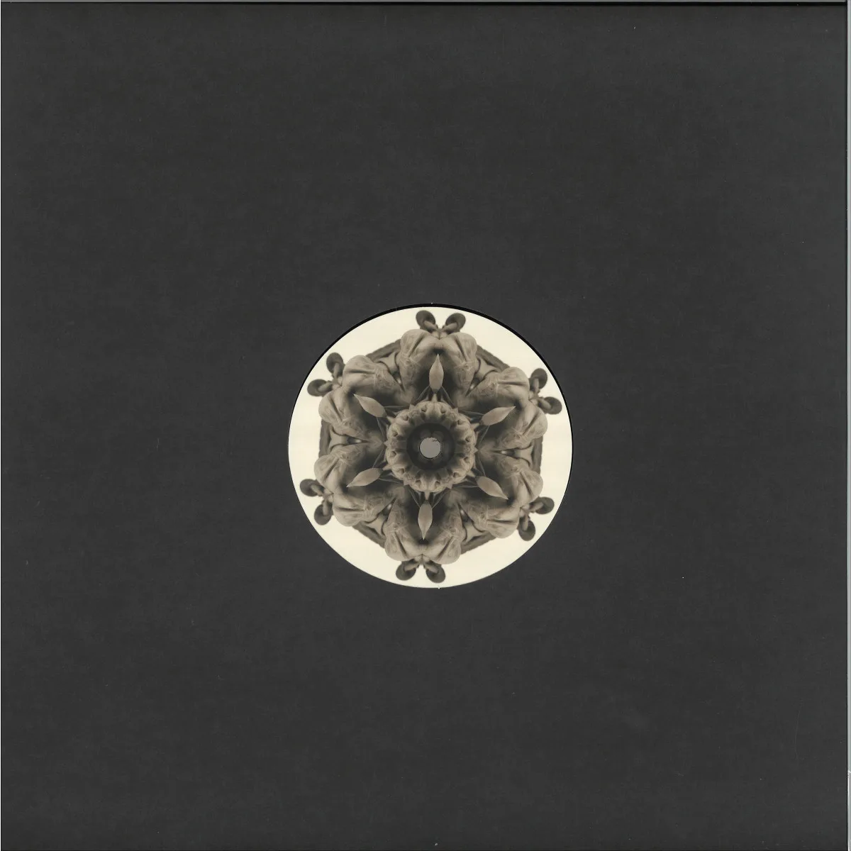 Back cover — Moi — 12 EP