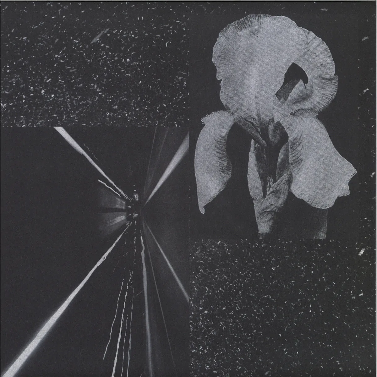 Juan Ramos — Oxford House