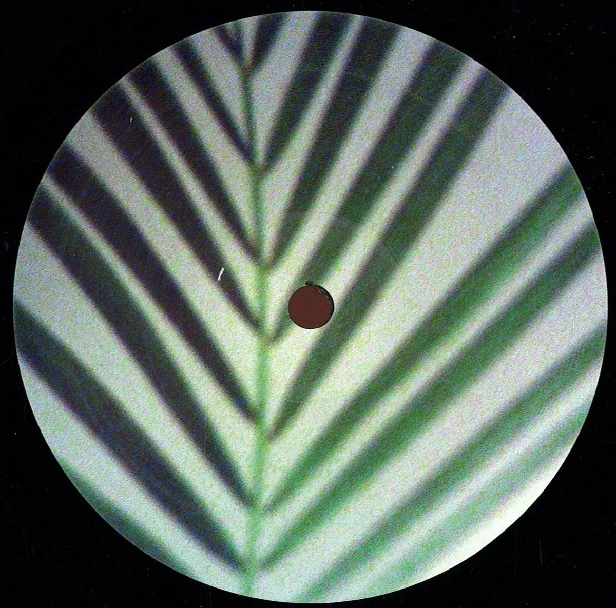 Bepotel — Startup Label 2