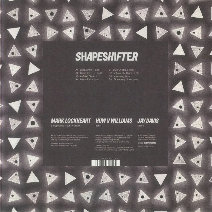 Обратная сторона обложки — Mark LOCKHEART — Shapeshifter