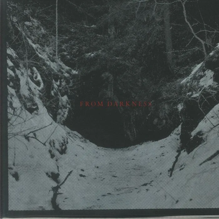 Erik K SKODVIN — From Darkness