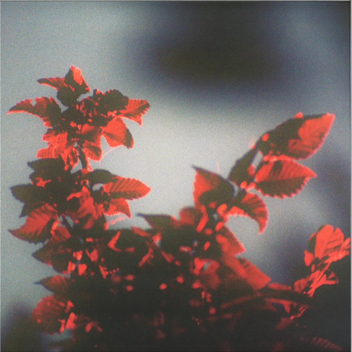 Ssiege — METEORA
