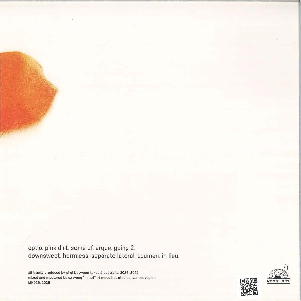 Back cover — Gi Gi — In Lieu LP