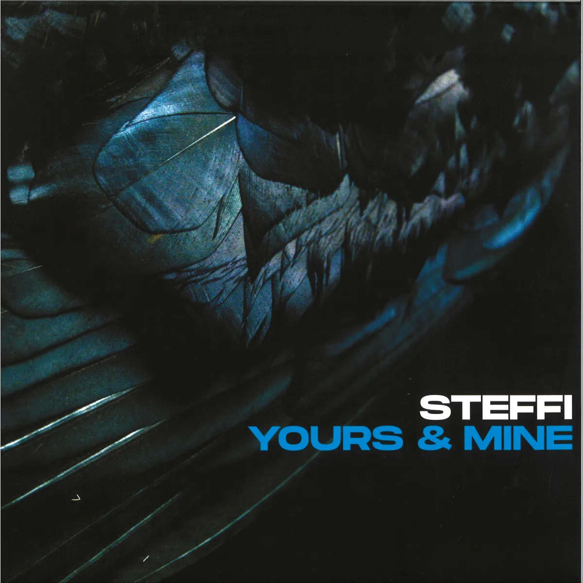 Лицевая сторона обложки — Steffi — Yours & Mine LP 2x12"