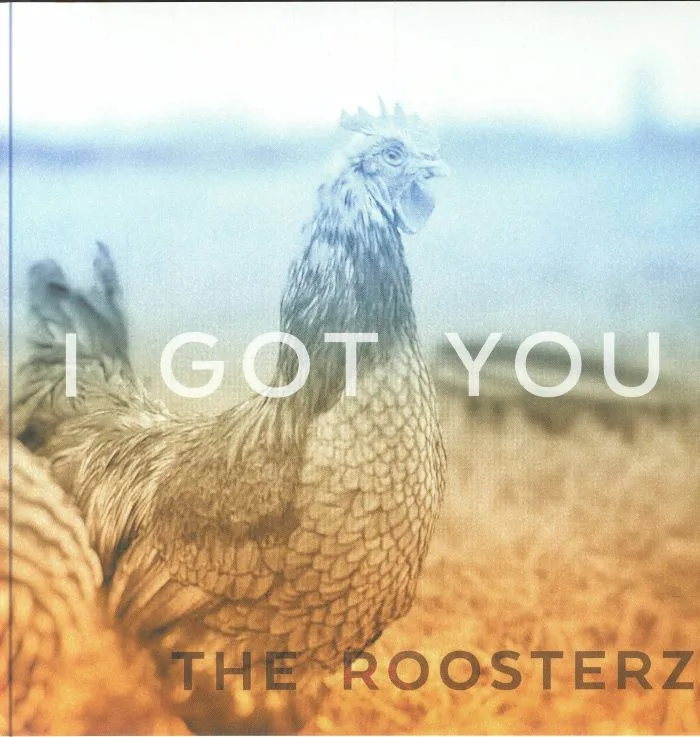 The ROOSTERZ — I Got You