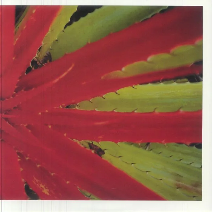 JEJUNE — This Afternoons Malady (remastered)