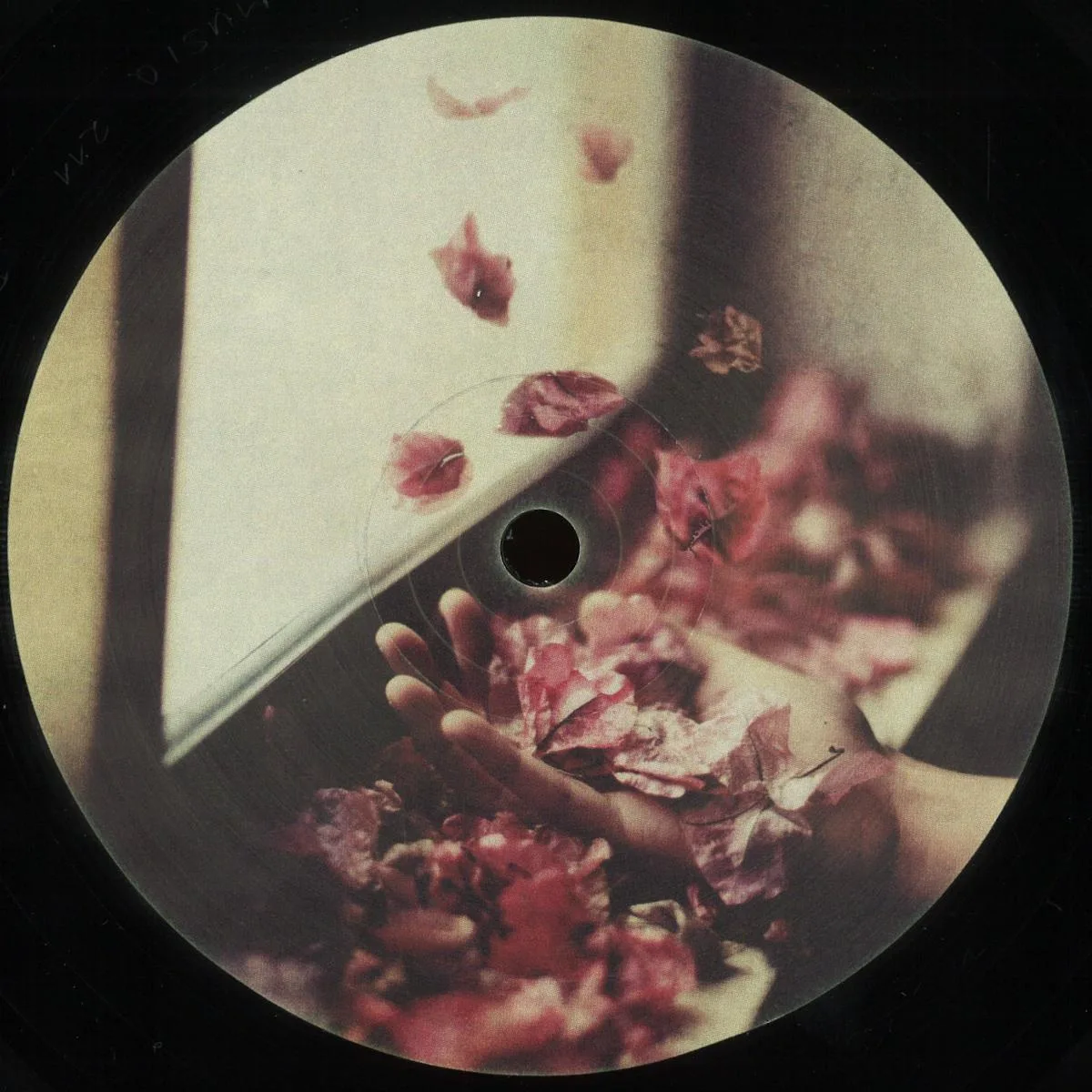 Petre Inspirescu — Vfntul Prin Salcii LP 2x12"