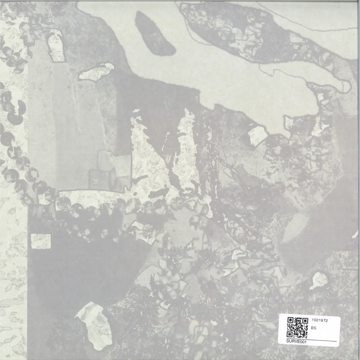 Back cover — DIMA DISK — PAHAKAS LP