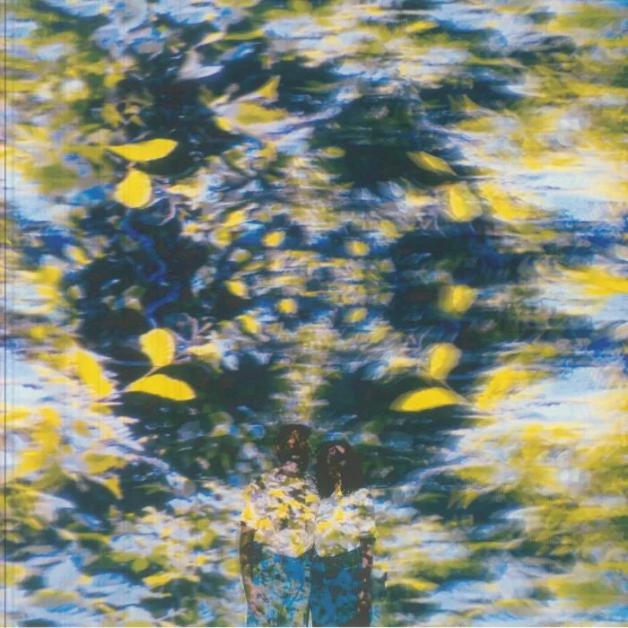 CHATON LAVEUR — Labyrinthe