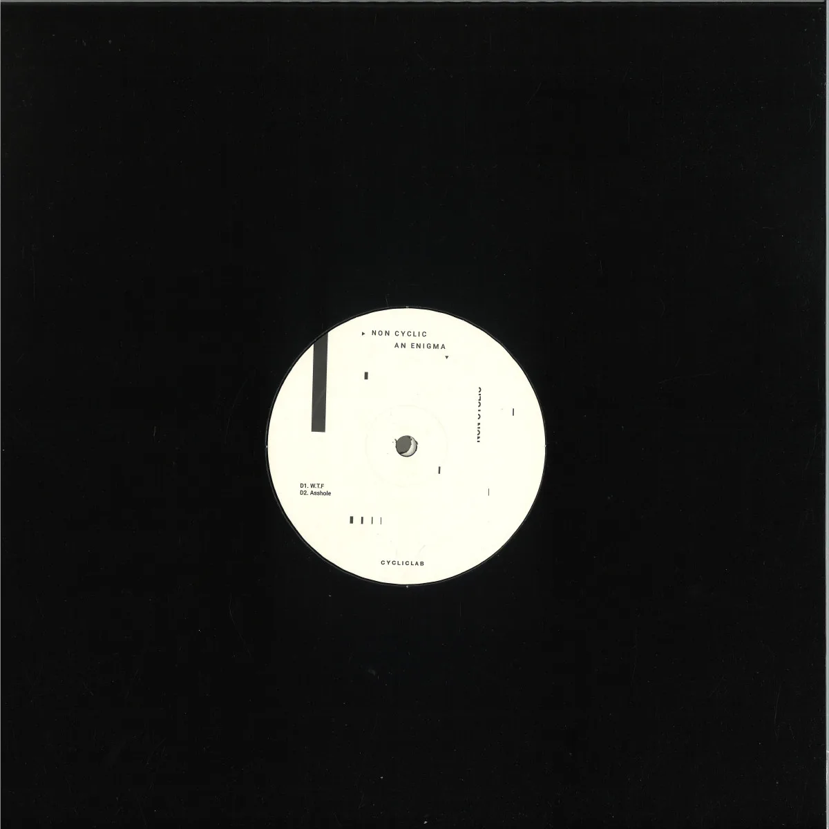 Back cover — Non Cyclic — An Enigma LP 2x12"