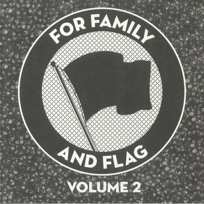 VARIOUS — For Family & Flag Volume 2