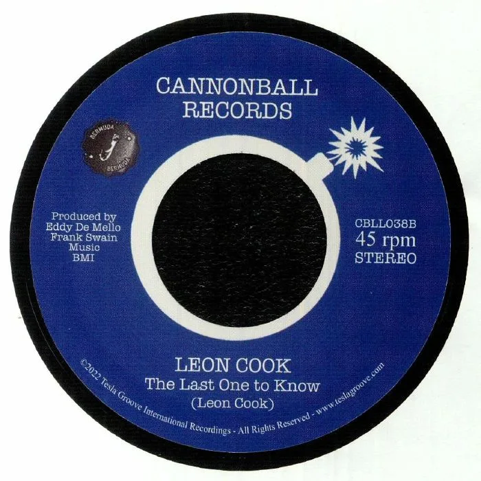 Back cover — Leon COOK — Steppin' In