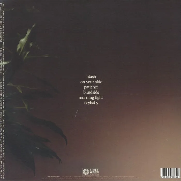 Обратная сторона обложки — PAPAYA NOON — Through The Moods