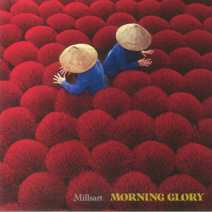 Лицевая сторона обложки — MILLSART — Morning Glory