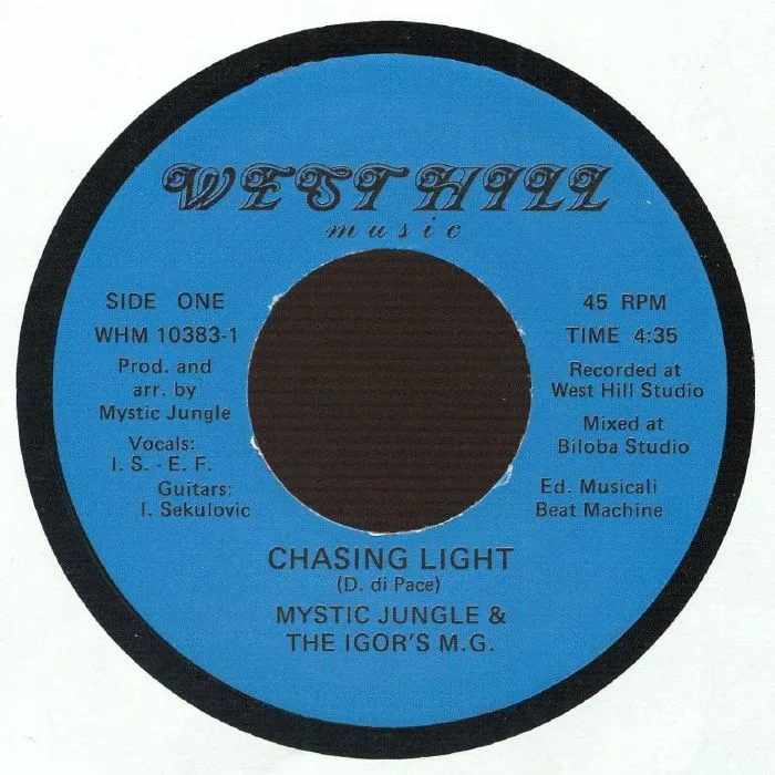 MYSTIC JUNGLE — Chasing Light