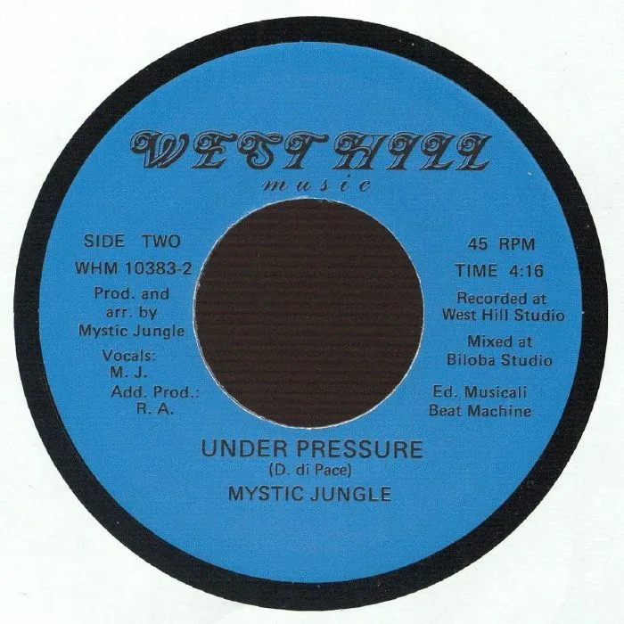 Back cover — MYSTIC JUNGLE — Chasing Light