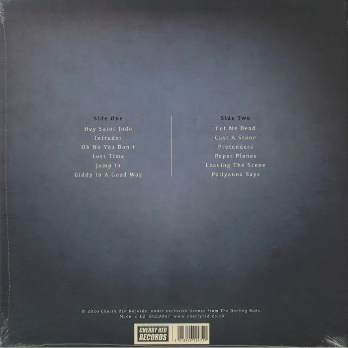 Back cover — The DARLING BUDS — Same Sun / Same Sky