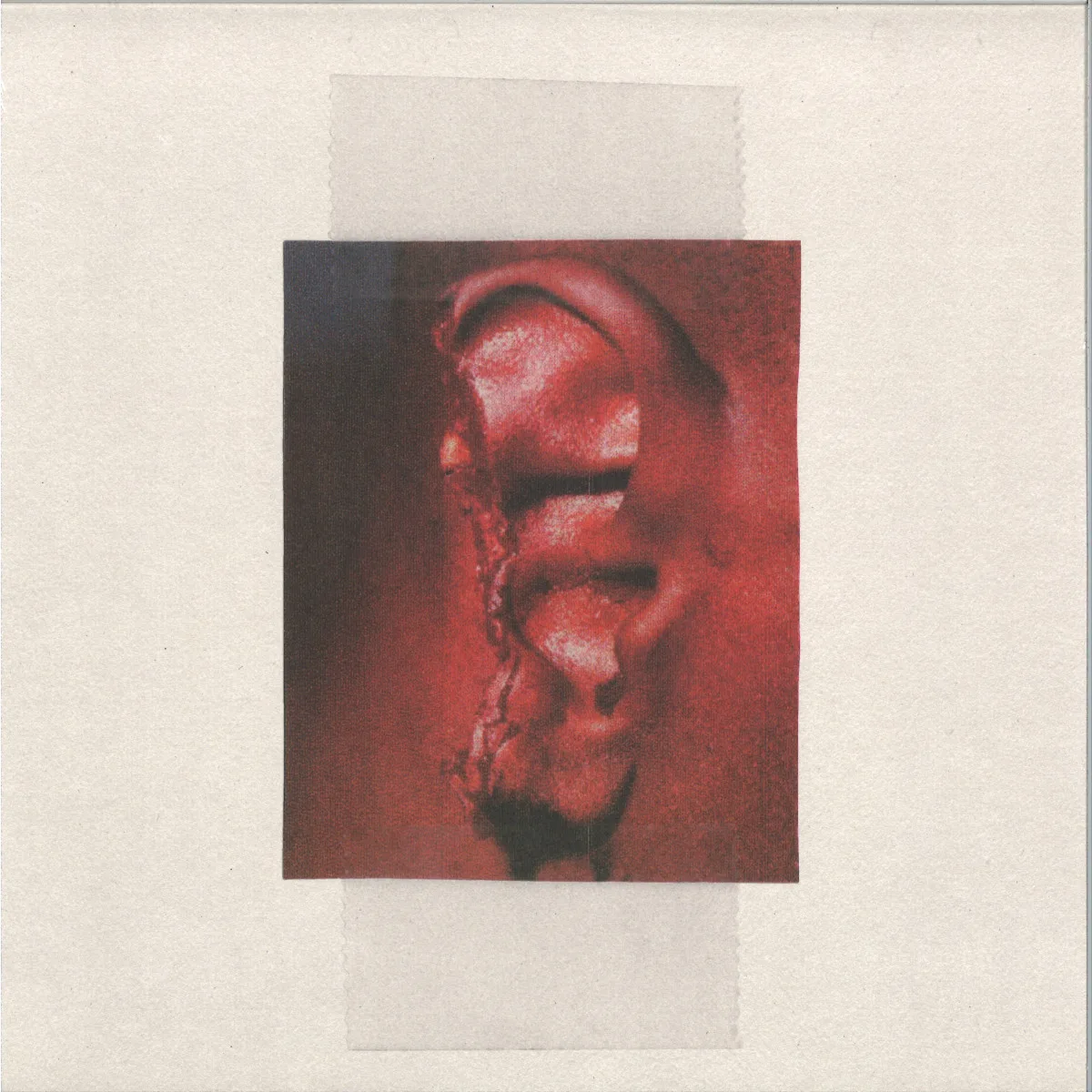Patrick Conway — Cellular Housekeeping