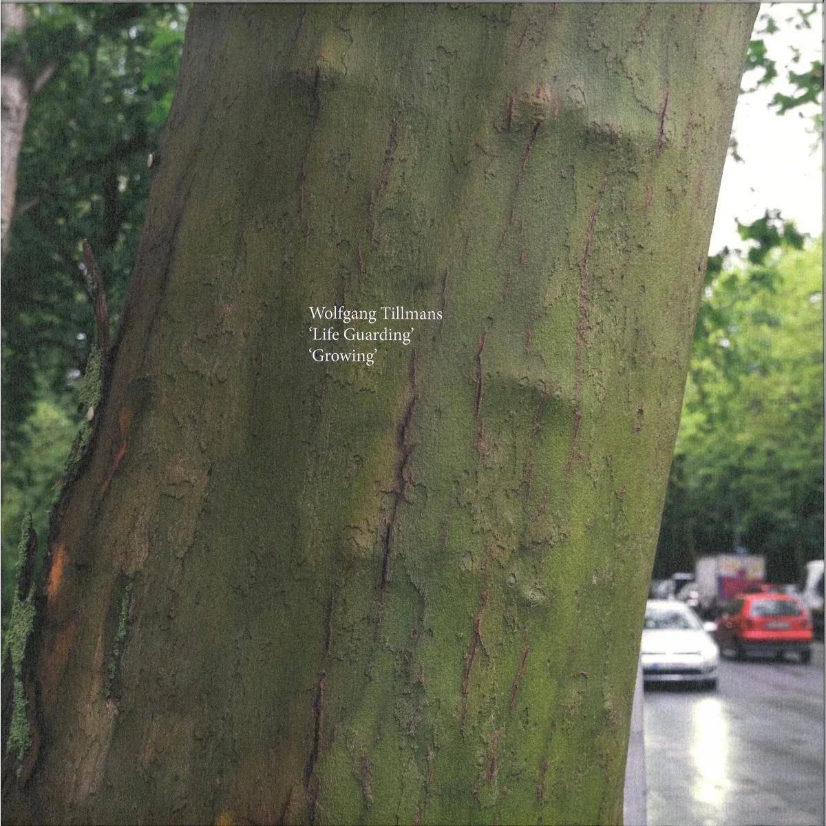 Wolfgang Tillmans — Life Guarding / Growing