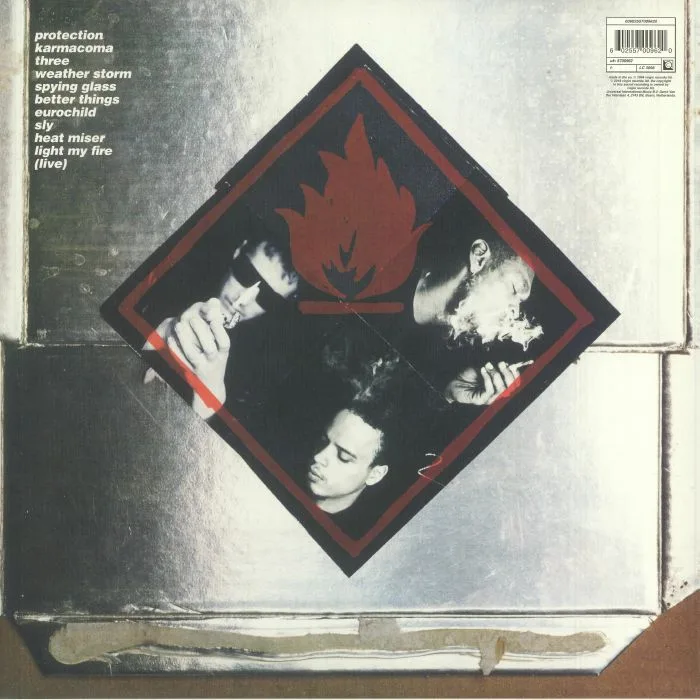 Back cover — Massive Attack — Protection LP