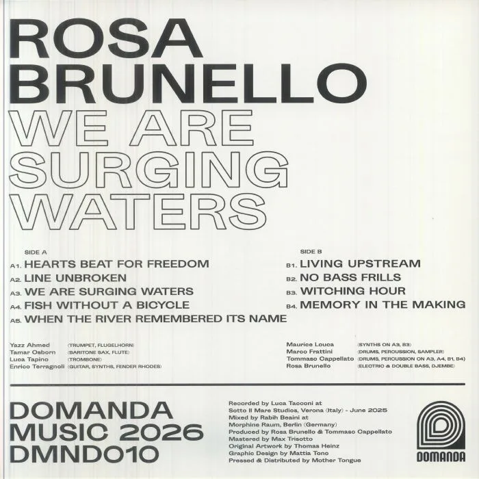 Обратная сторона обложки — Rosa BRUNELLO — We Are Surging Waters