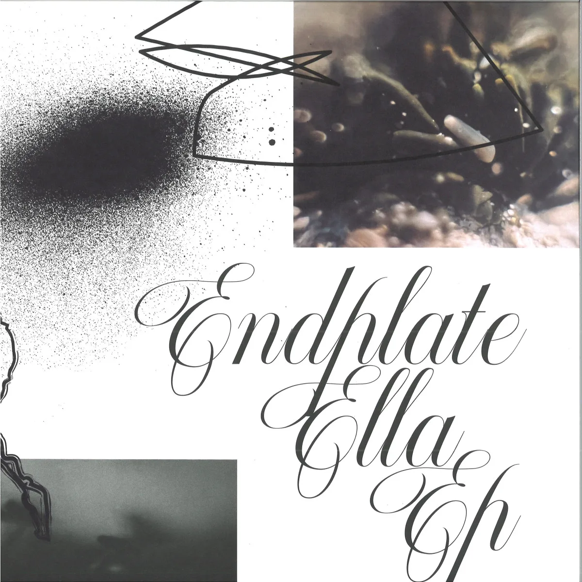 Endplate — e l l a