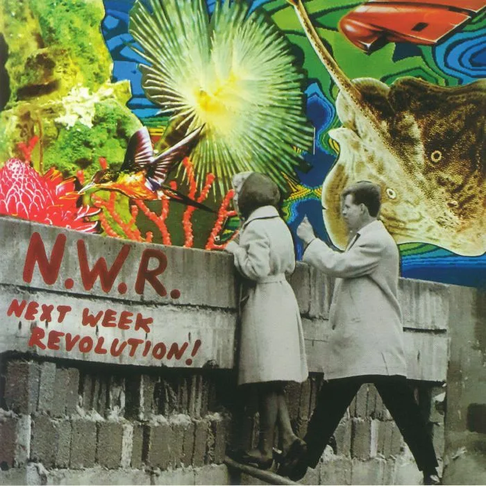 NEXT WEEK REVOLUTION — Next Week Revolution