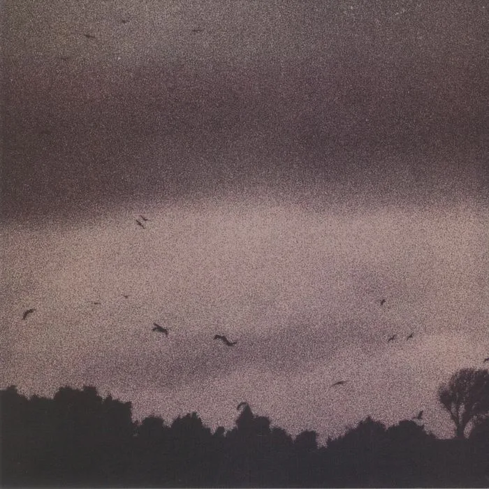 Back cover — Adam WINCHESTER — Muutto