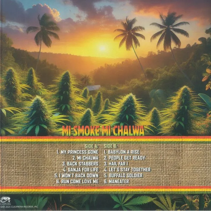 Back cover — JAH MASON — Mi Smoke Mi Chalwa